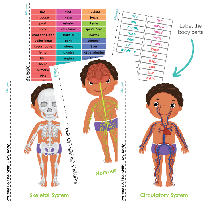 My Body printables labelling body parts