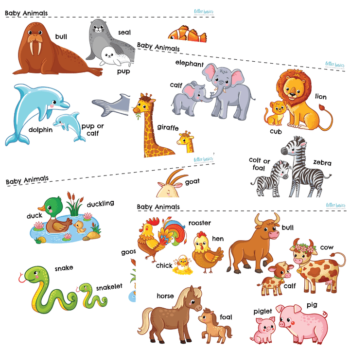 4 in 1 Identifying and Classifying Animals Bundle